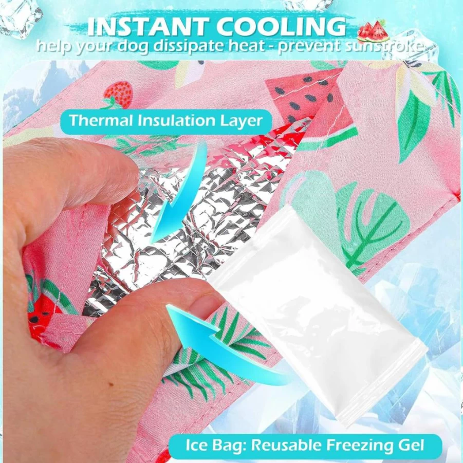 EXPAWLORER Cooling Dog Bandana with Ice Pack - Reusable Freezing Gel Pet Scarf for Summer, Thermal Insulated Neck Cooler for All Dog Breeds (Blue Green, Large)